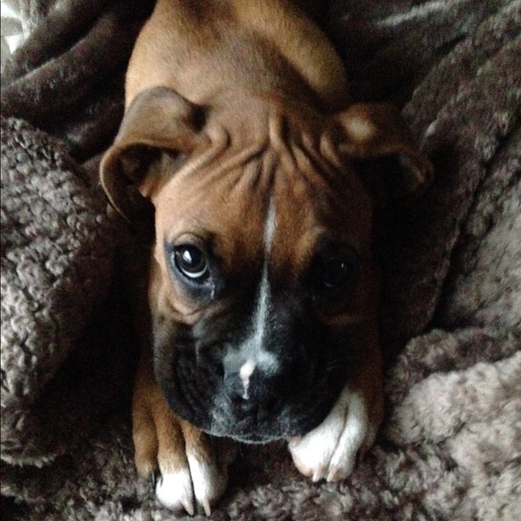 Meet your Posher, Becca - Picture 1 of 1